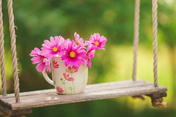 Pink flowers in a beautiful cup