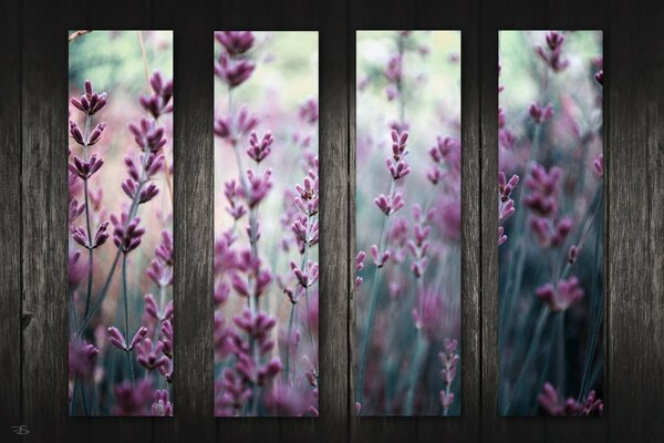 Image de fleurs sur le bureau