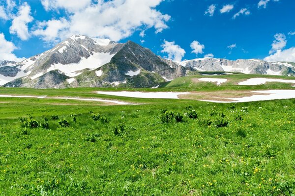 Зелений луг біля підніжжя засніжених гір