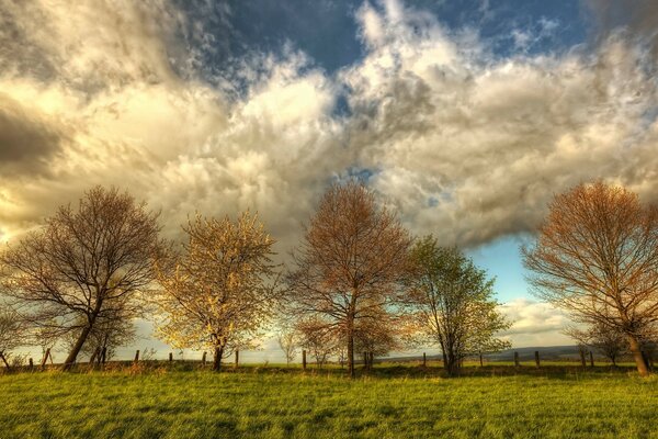 Landschaft der Landschaft am Nachmittag