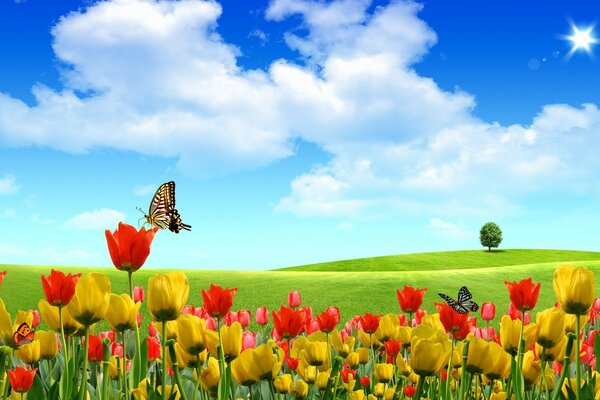 A butterfly sits on a tulip flower