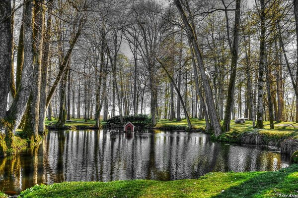 Ein ruhiger Waldsee und ein Häuschen