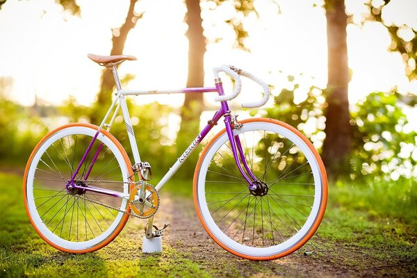 Bicicleta mujer en la calle en el bosque