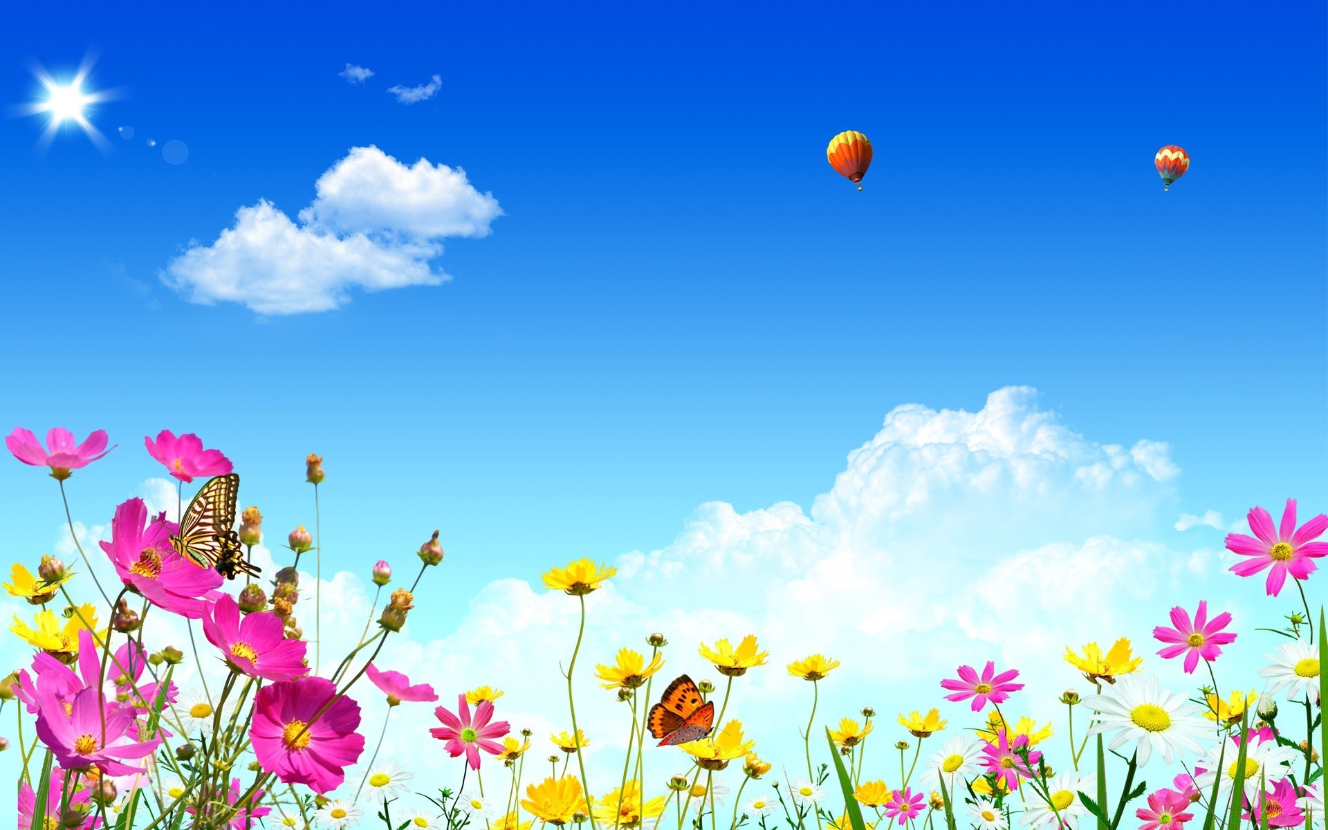 spring flower summer nature field hayfield grass flora bright sun color season fair weather sky floral desktop sunny