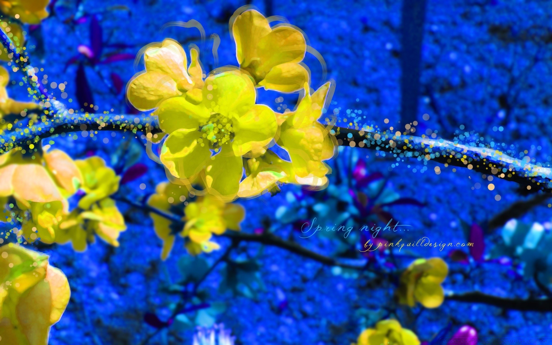 printemps nature fleur flore couleur saison lumineux bureau belle jardin feuille bluming arbre gros plan à l extérieur croissance floral lumière été