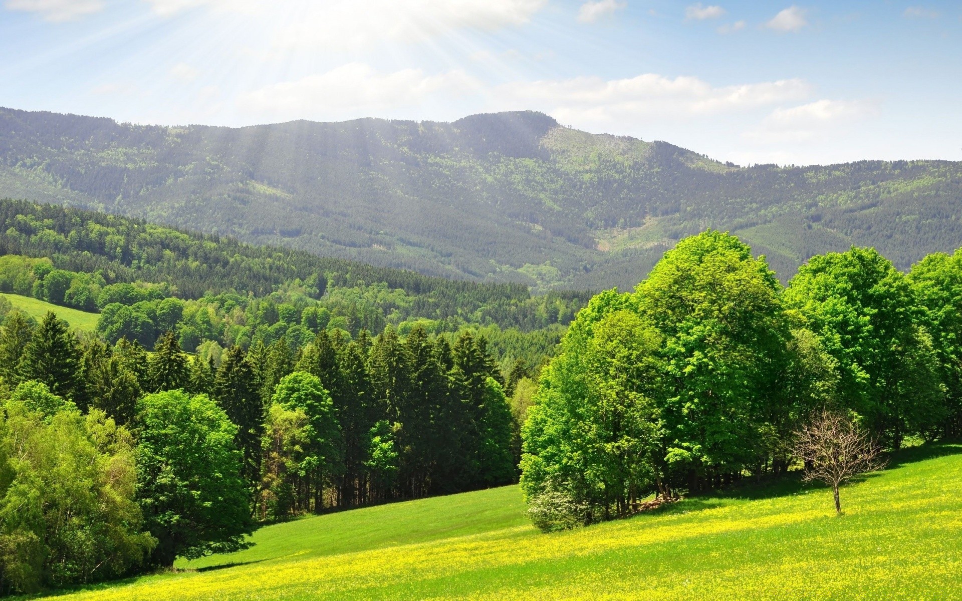 primavera paisaje árbol naturaleza madera colina hierba al aire libre verano escénico rural campo montaña viajes heno cielo espectáculo idilio paisaje medio ambiente