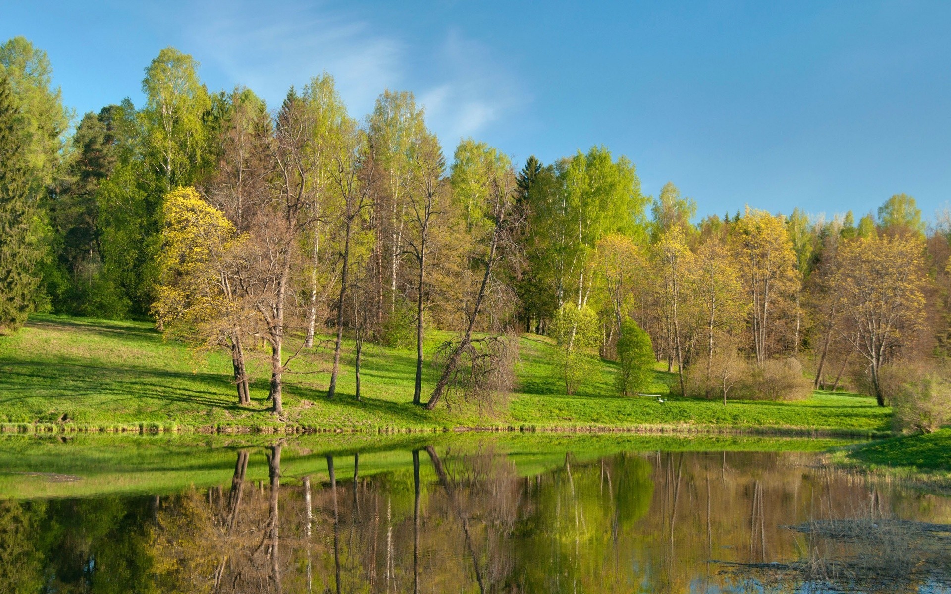 весна пейзаж природа дерево деревини води осінь озеро трава річка сільських на відкритому повітрі відображення сільській місцевості лист басейн небо літо сезон мальовничий