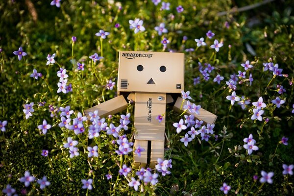 Amazon. Cardboard Man in flowers