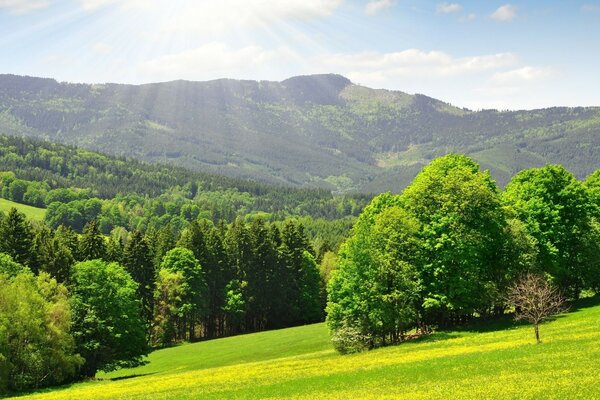 Slope and mountains. Nature of the world