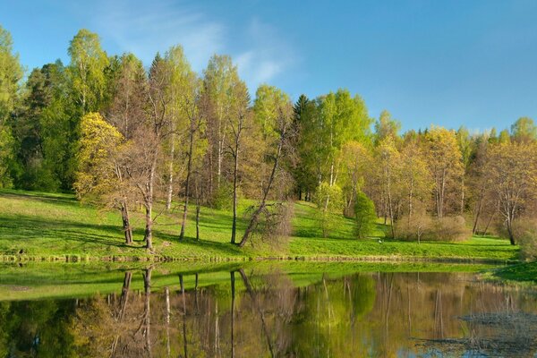 A primavera vem, o caminho da primavera