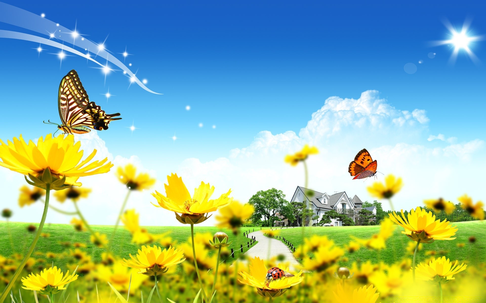 spring nature summer sun flower fair weather bright outdoors field flora growth butterfly leaf rural sunflower garden grass insect environment hayfield