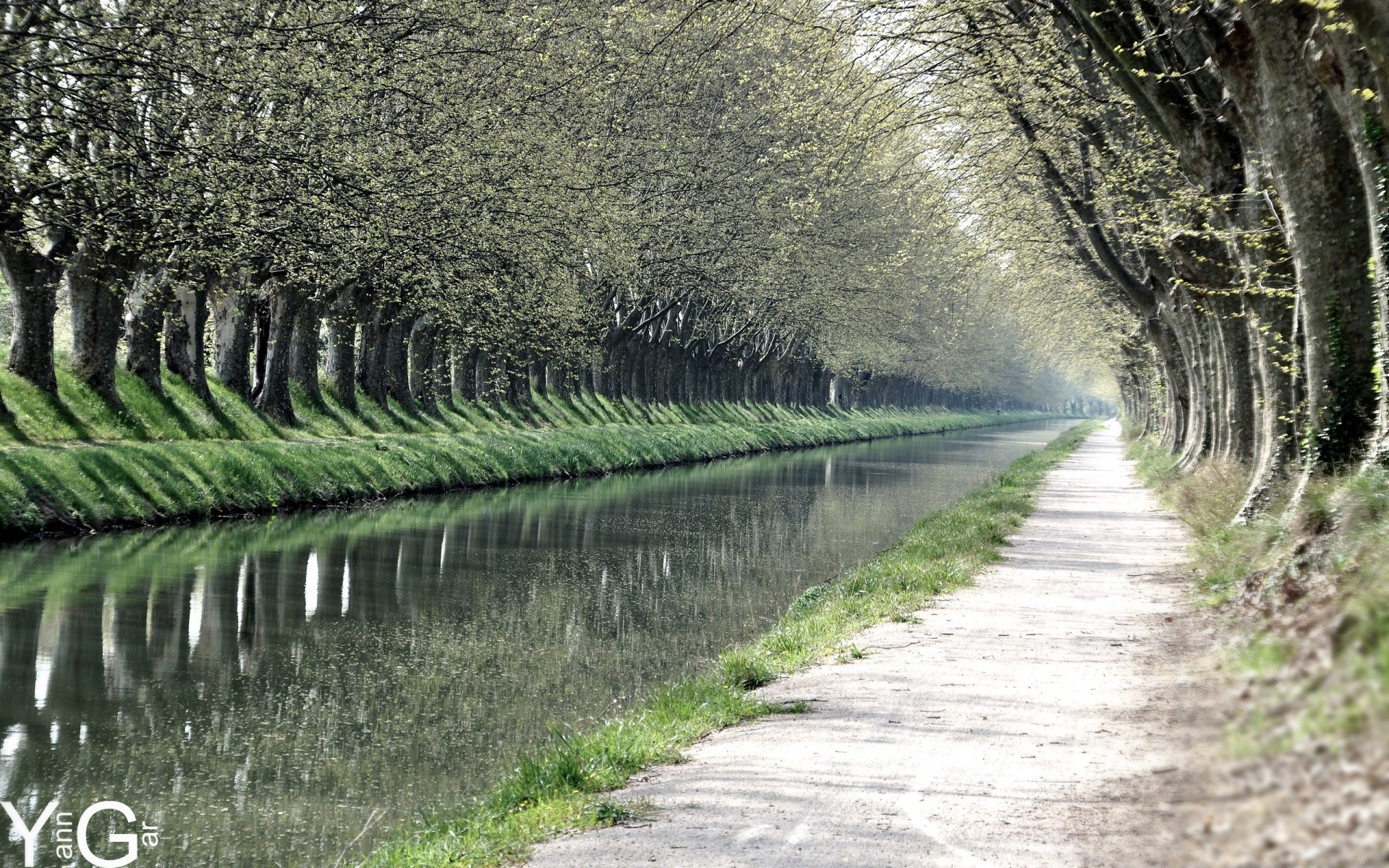 spring nature outdoors guidance wood road tree water grass landscape rural countryside summer fall leaf