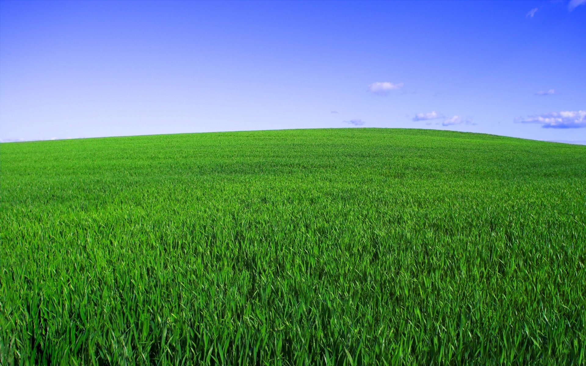 spring field rural grass farm hayfield pasture countryside growth horizon agriculture landscape soil lawn nature summer fair weather grassland idyllic