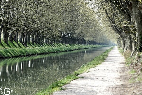 Primavera nel parco. Vicolo perfetto