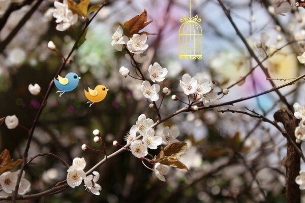 Flowers on the branches. Cute birds