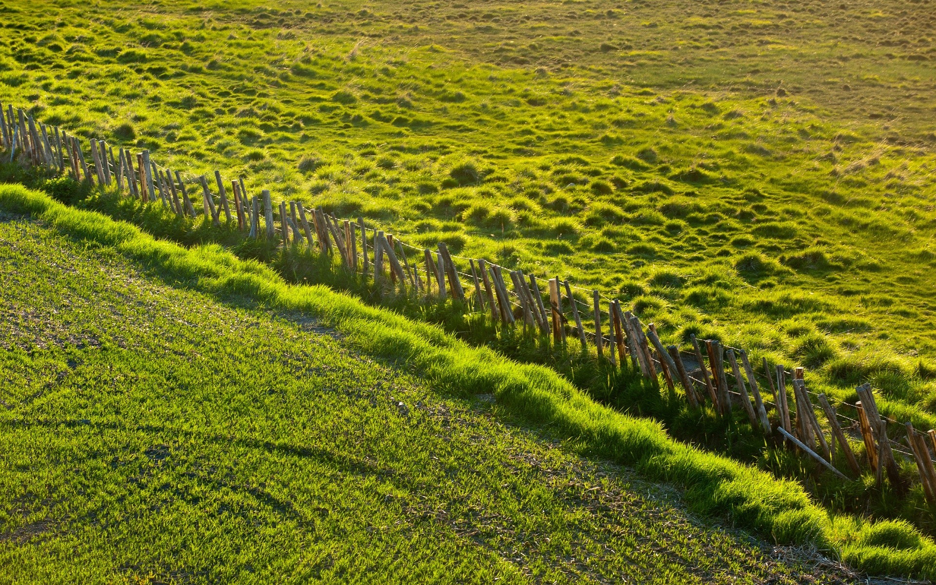 primavera paesaggio campo natura agricoltura erba flora rurale fattoria crescita fieno scena campagna suolo spettacolo estate scenico paesaggio all aperto stagione