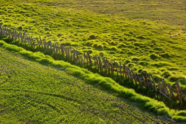 Landscape of a plowed vegetable garden and untouched lands