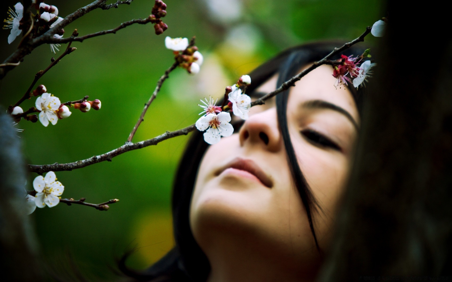 primavera flor maçã árvore cereja retrato natureza menina