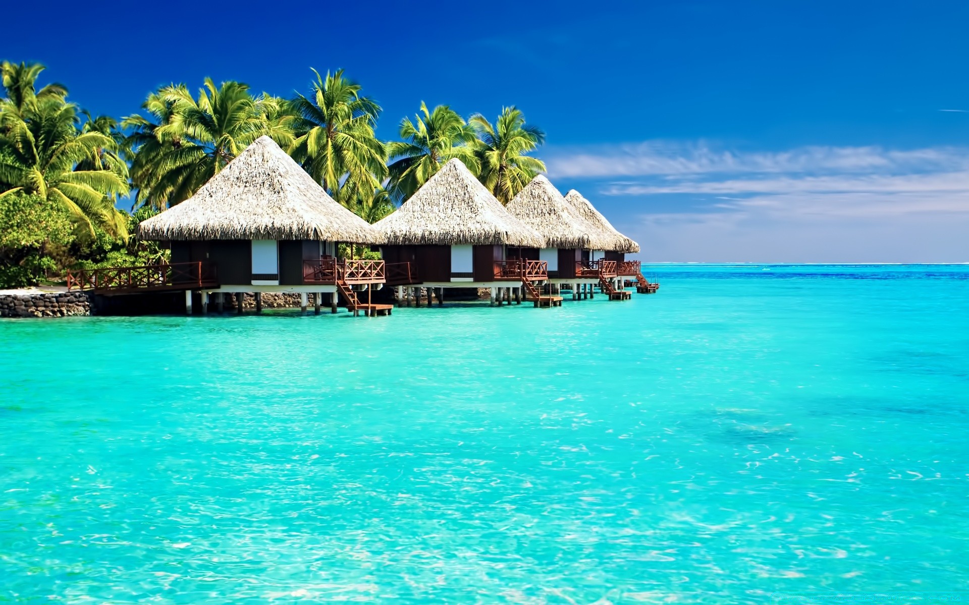 summer resort tropical exotic paradise island hotel vacation luxury palm turquoise water ocean idyllic beach travel relaxation bungalow villa lagoon