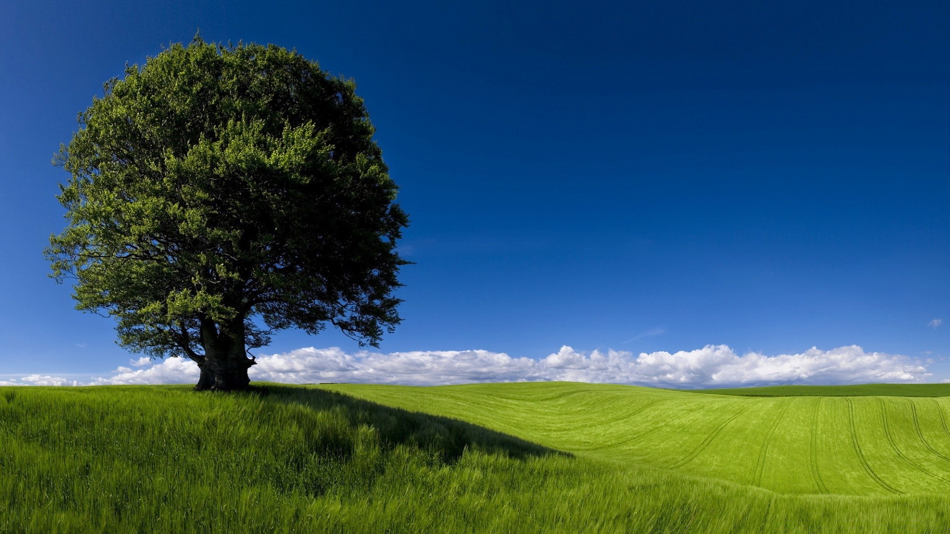 sommer gras landschaft natur himmel landschaft im freien baum feld des ländlichen sonne heuhaufen wachstum weide dämmerung gutes wetter idylle bewirtschaftetes land landwirtschaft