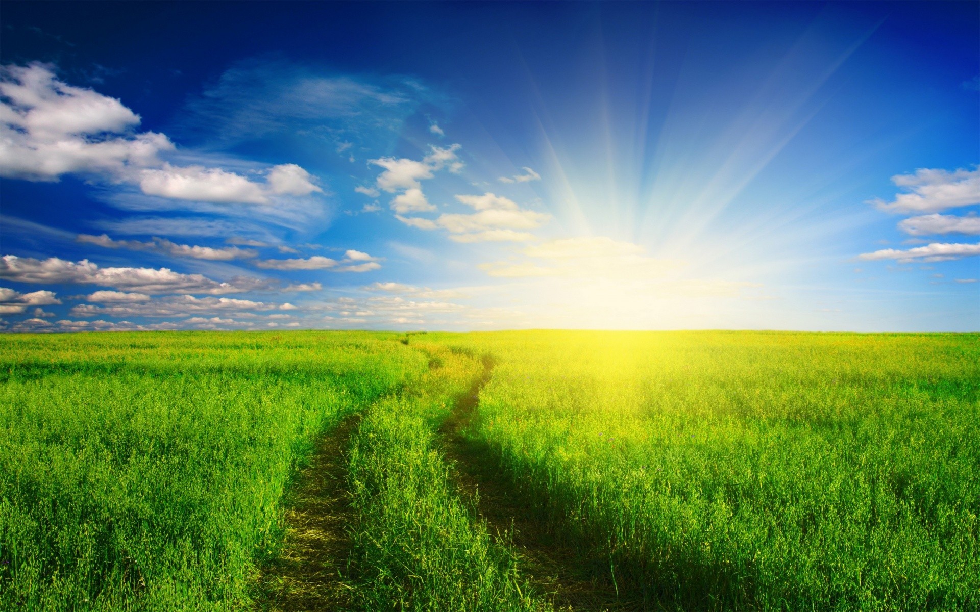 sommer feld des ländlichen landschaft gras natur landschaft heuhaufen himmel landwirtschaft weide boden gutes wetter bauernhof sonne horizont wachstum wolke