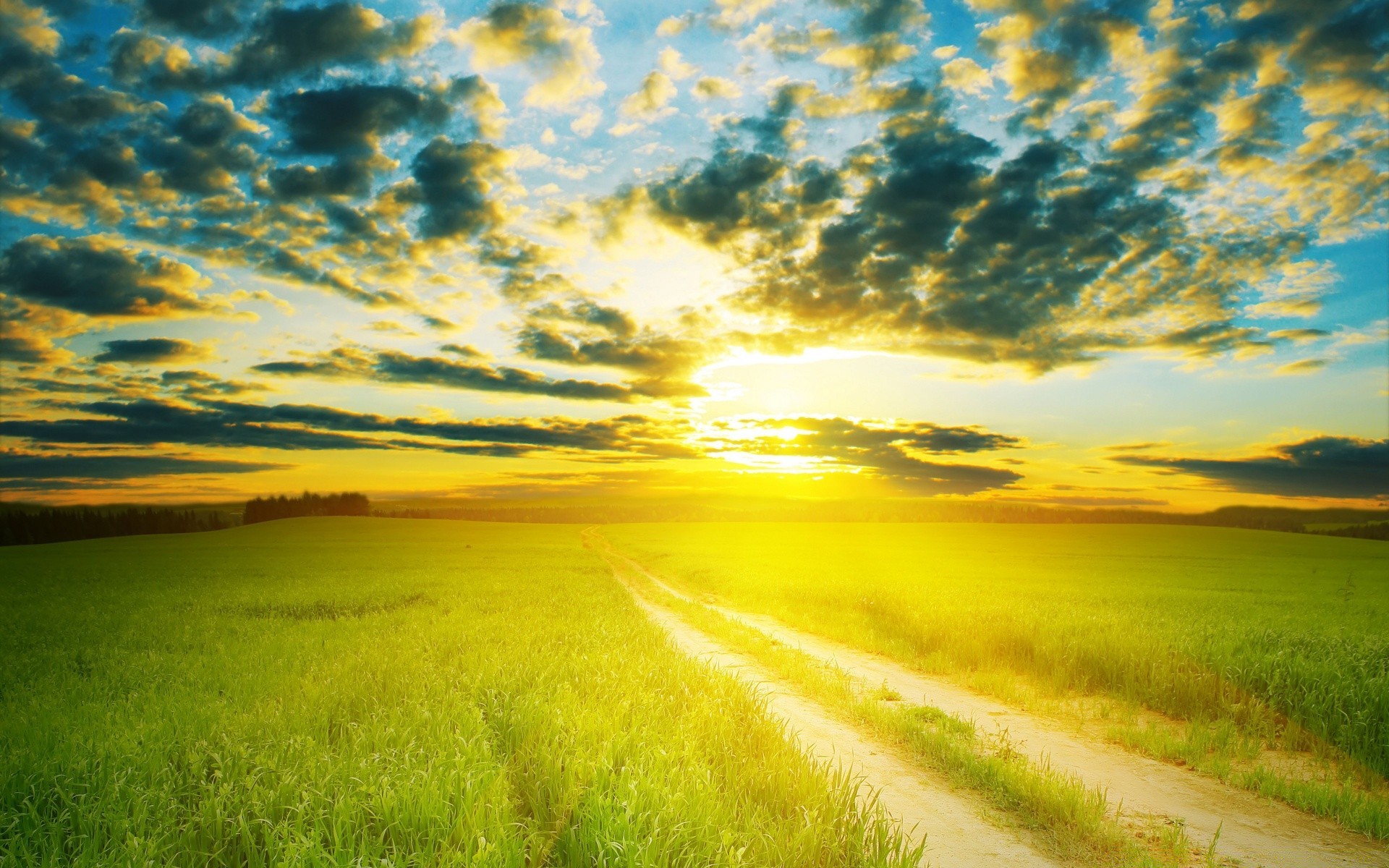 summer landscape nature rural grass sky field countryside sun fair weather outdoors dawn sunset cloud hayfield