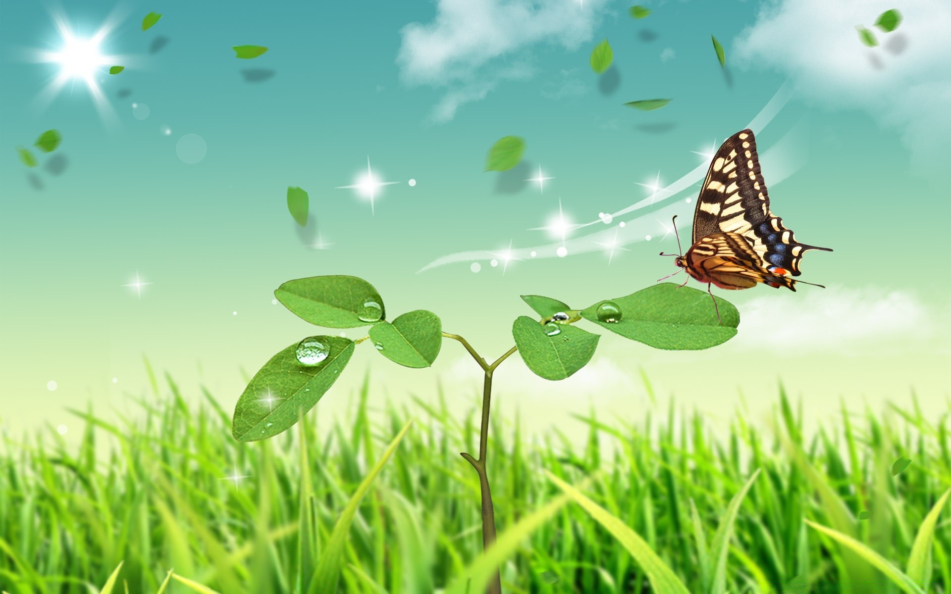 spring butterfly nature grass summer leaf outdoors sun insect fair weather hayfield flora garden bright growth environment lawn dawn