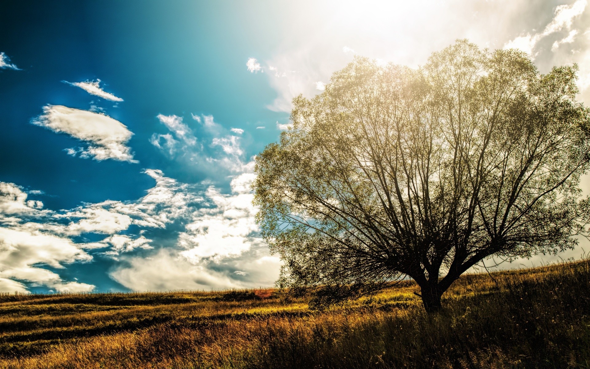 summer landscape tree sky nature field dawn rural grass sun countryside outdoors country scenic fall season cloud wood fair weather hayfield