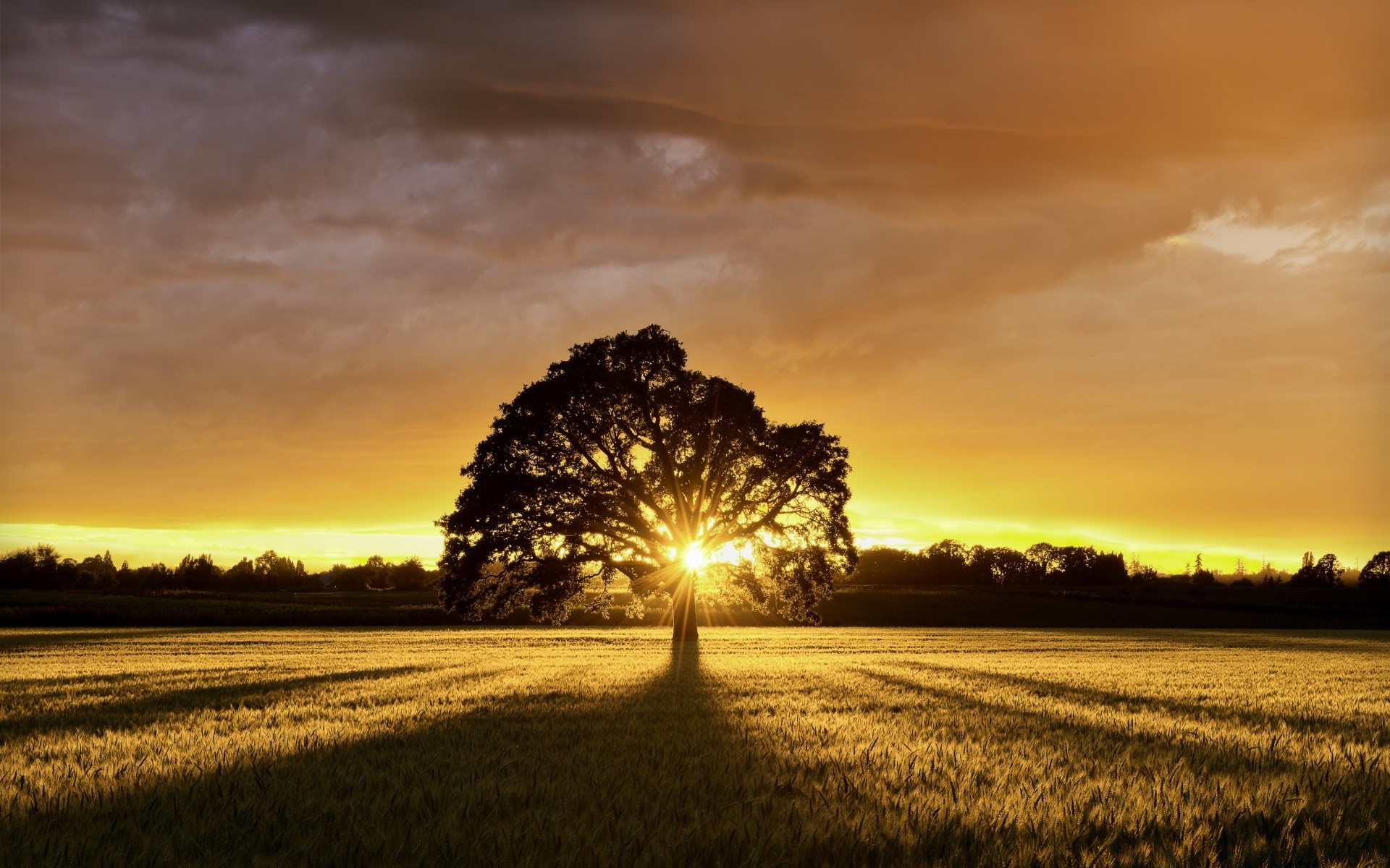 sommer sonnenuntergang dämmerung sonne natur landschaft himmel des ländlichen raums landschaft gutes wetter abend dramatisch dämmerung herbst nebel im freien gras