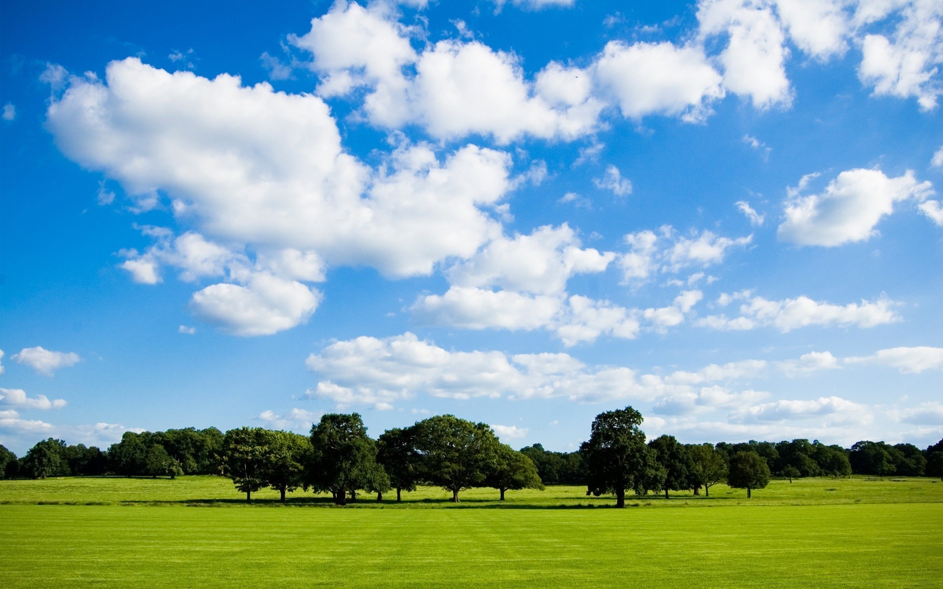 estate paesaggio erba natura rurale golf campagna cielo all aperto pascolo campo albero agricoltura fieno bel tempo pascolo idillio azienda agricola orizzonte