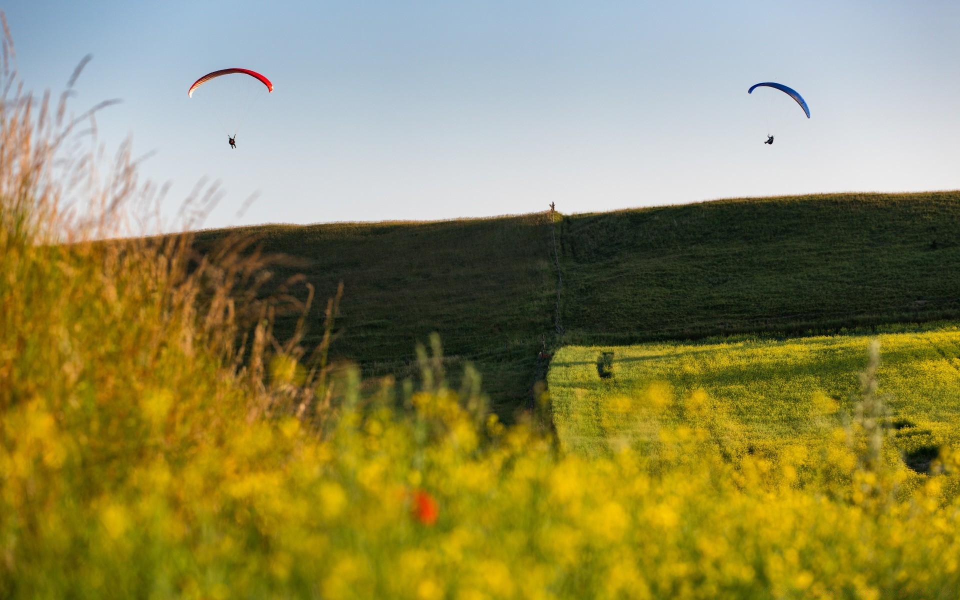 été paysage champ ciel foin à l extérieur l agriculture nature fleur herbe scénique nuage ferme arbre pâturage montagne récolte campagne