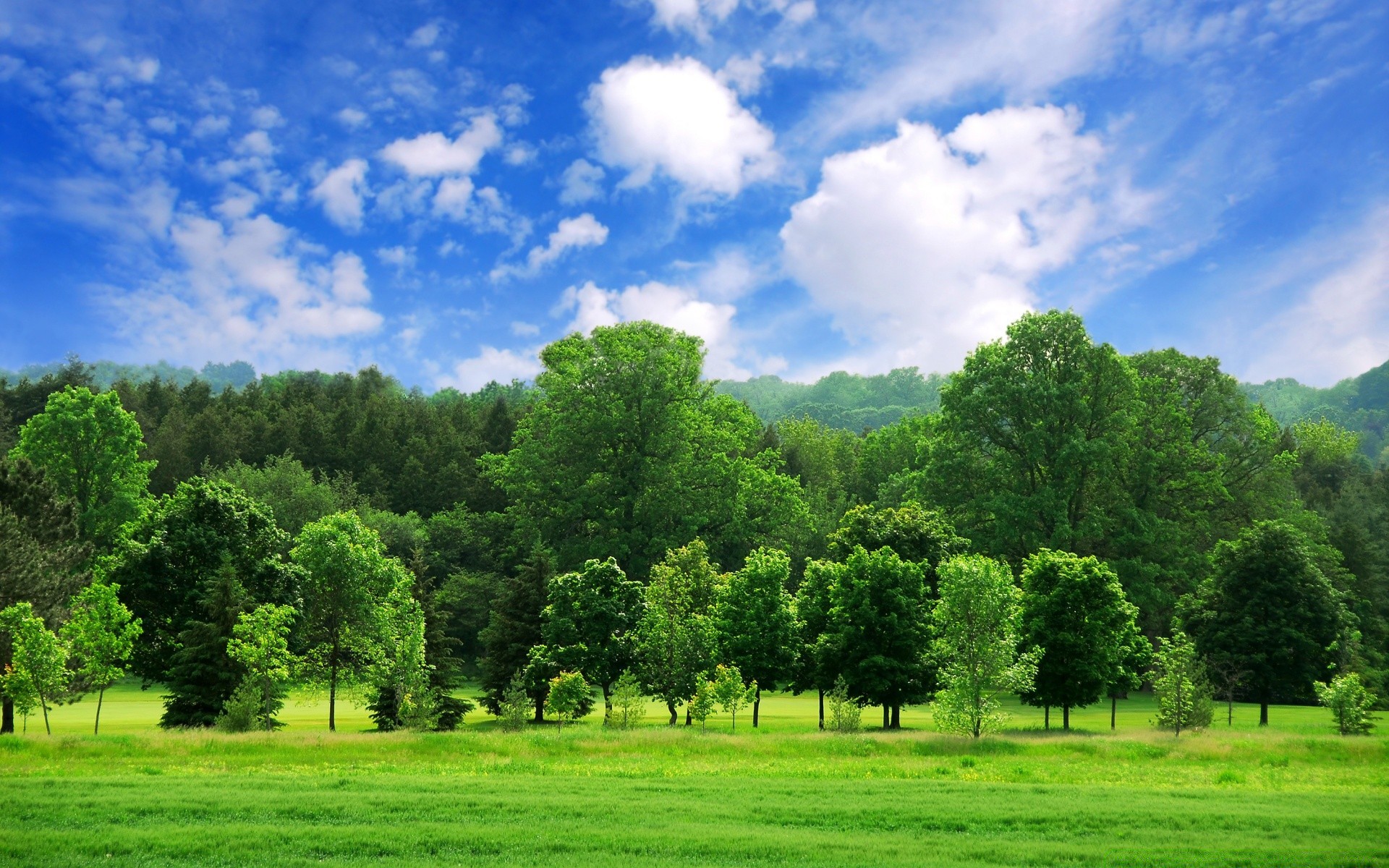 summer rural grass landscape nature countryside tree fair weather hayfield outdoors field sky idyllic lawn sun bright wood cloud lush