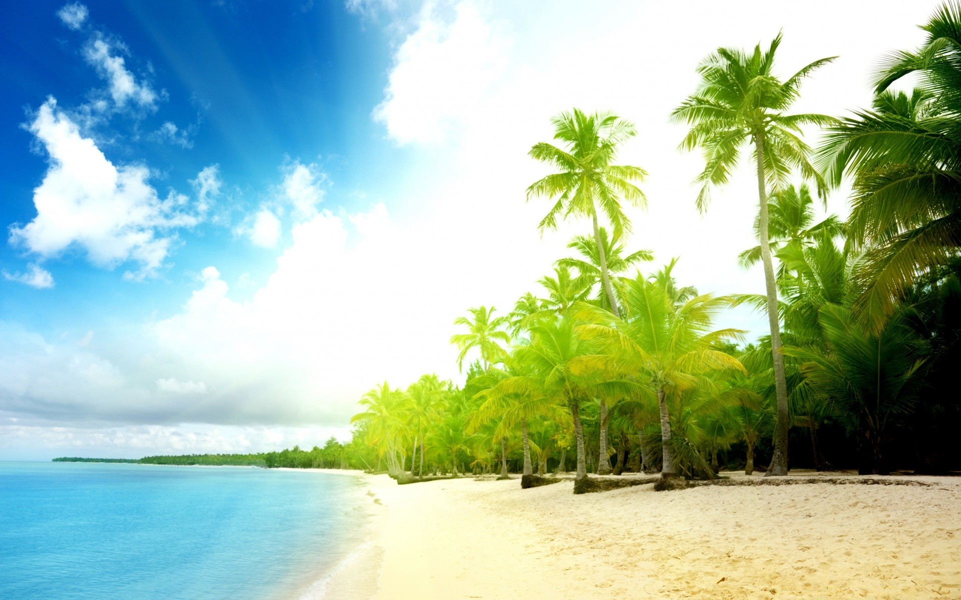 summer tropical beach sand sun travel idyllic seashore palm resort water paradise vacation exotic coconut ocean island nature fair weather tree