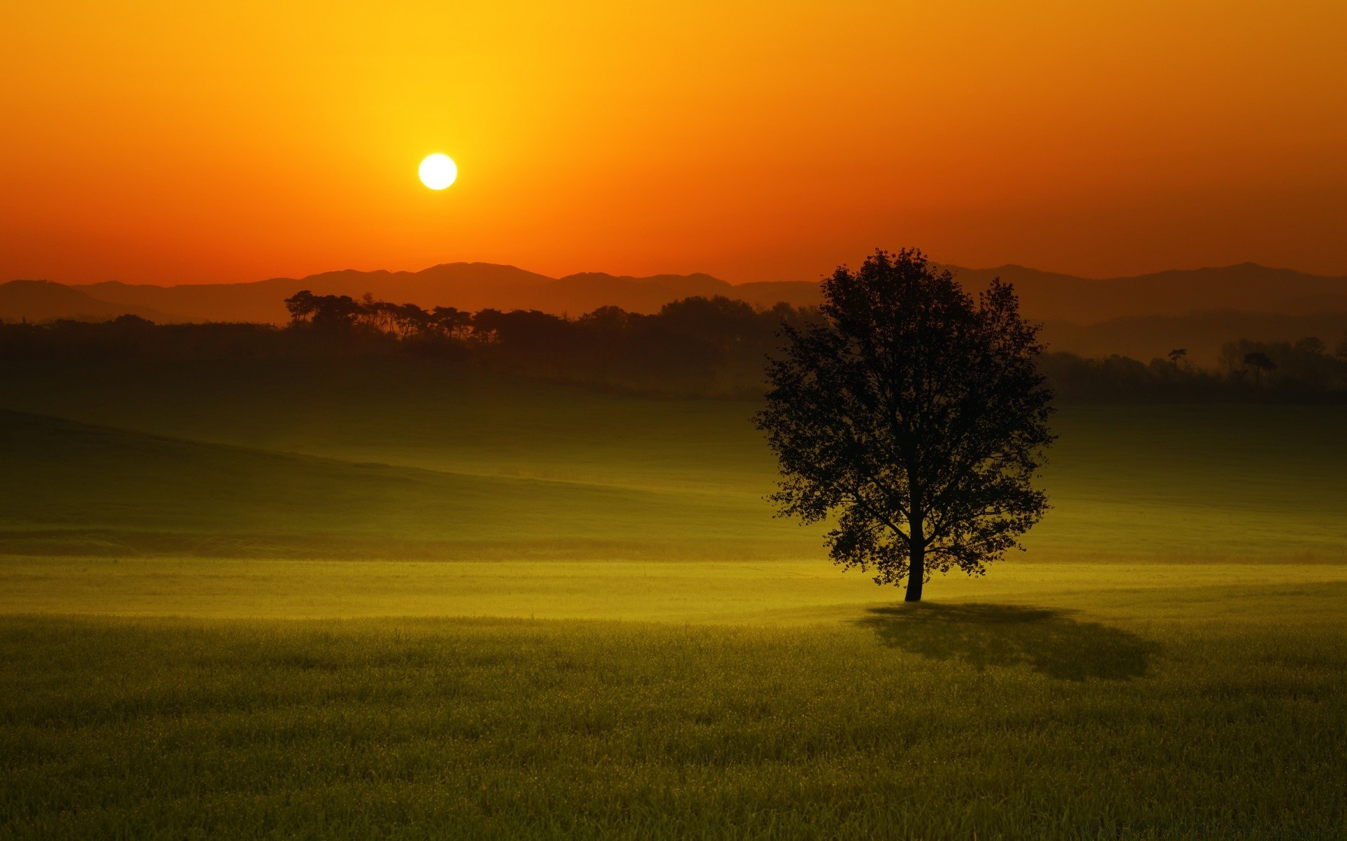 verano puesta de sol amanecer sol iluminado noche crepúsculo paisaje silueta árbol cielo buen tiempo naturaleza niebla luz