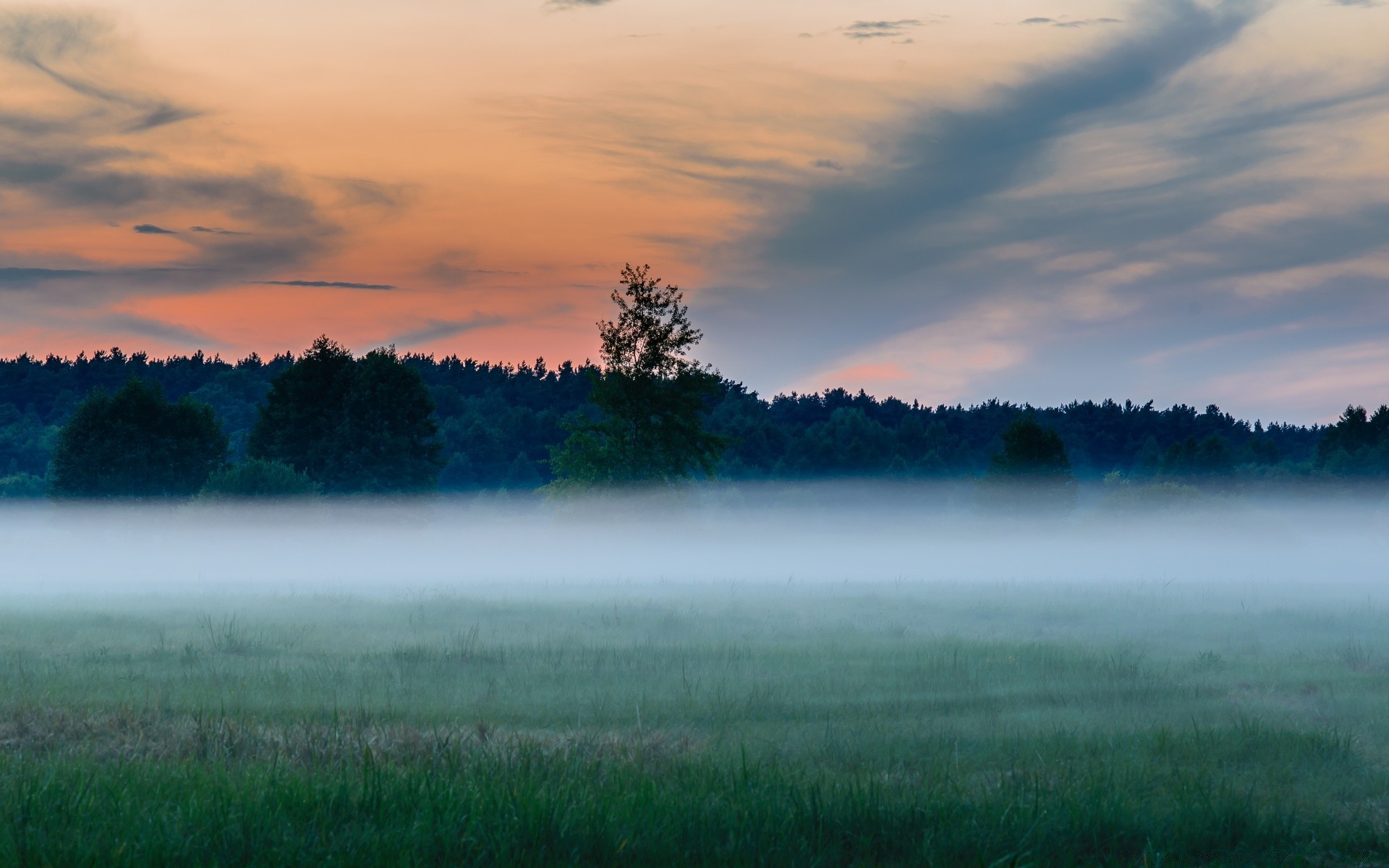 sommer landschaft dämmerung sonnenuntergang natur sonne see baum himmel nebel wasser nebel gutes wetter licht im freien abend