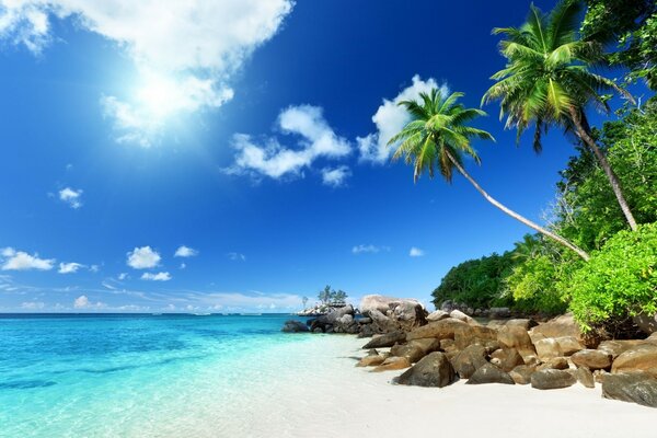 Plage de sable tropical et mer