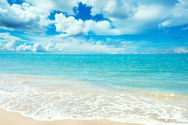 Été paradisiaque tropical sous le soleil