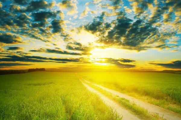 Country road on a green field at sunset