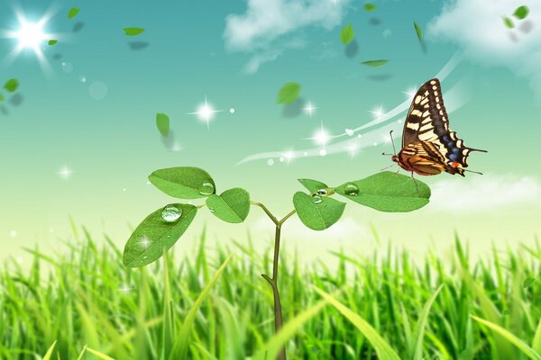 Green meadow with a butterfly on a twig