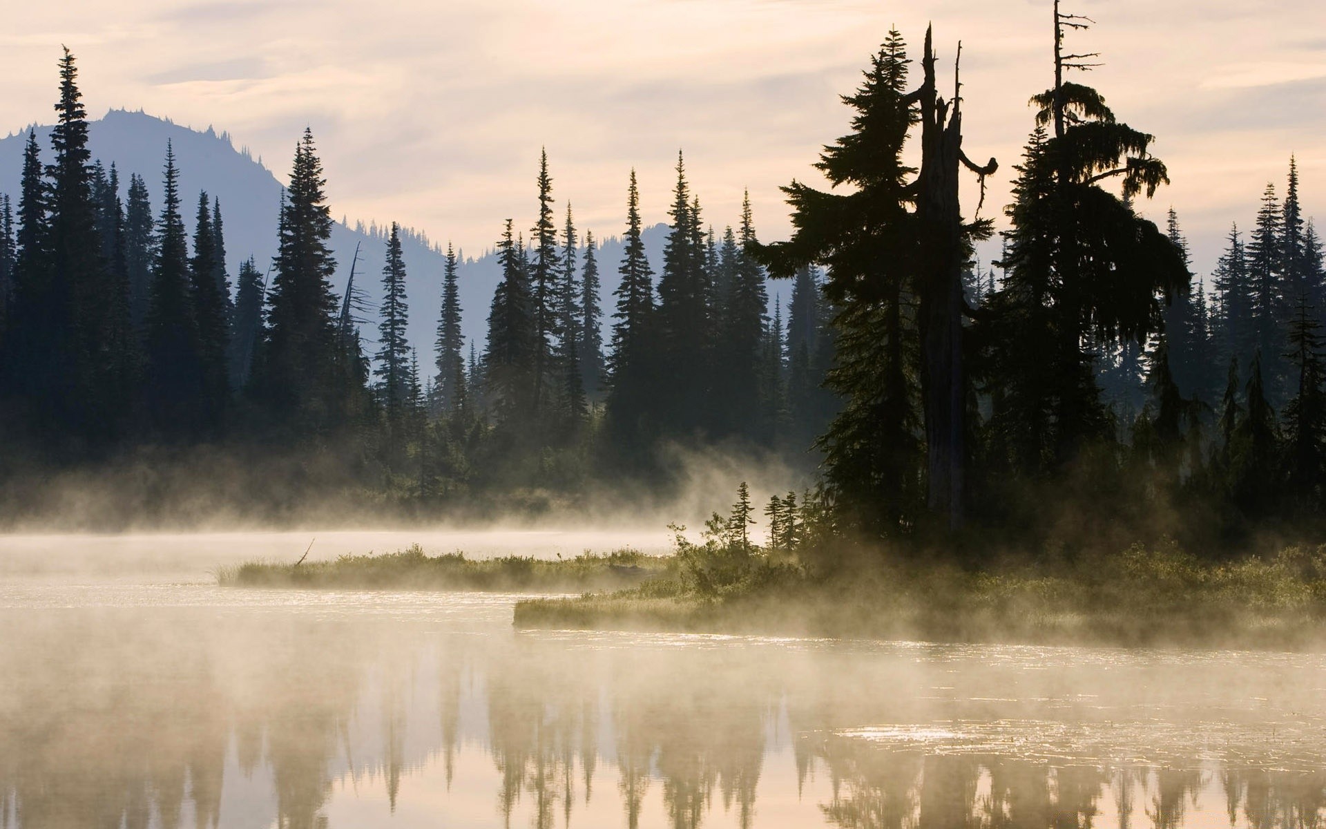 lac arbre paysage neige eau à l extérieur bois conifères evergreen montagnes réflexion