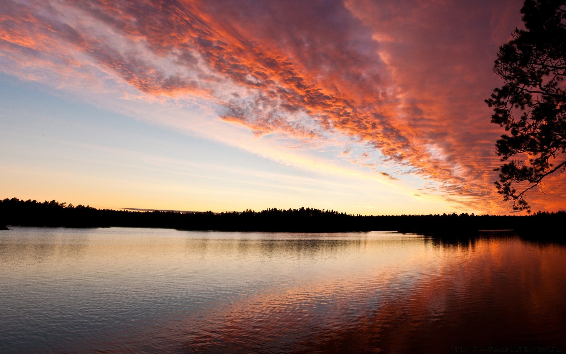 lake sunset dawn water evening reflection dusk nature landscape outdoors sun tree sky