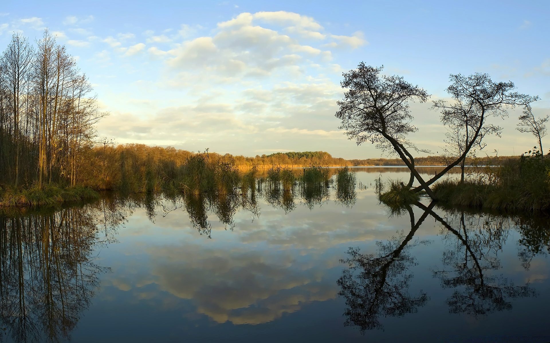 jezioro drzewo odbicie woda krajobraz natura świt na zewnątrz drewno niebo rzeka plesid chłód wieczór zachód słońca jesień dobra pogoda basen