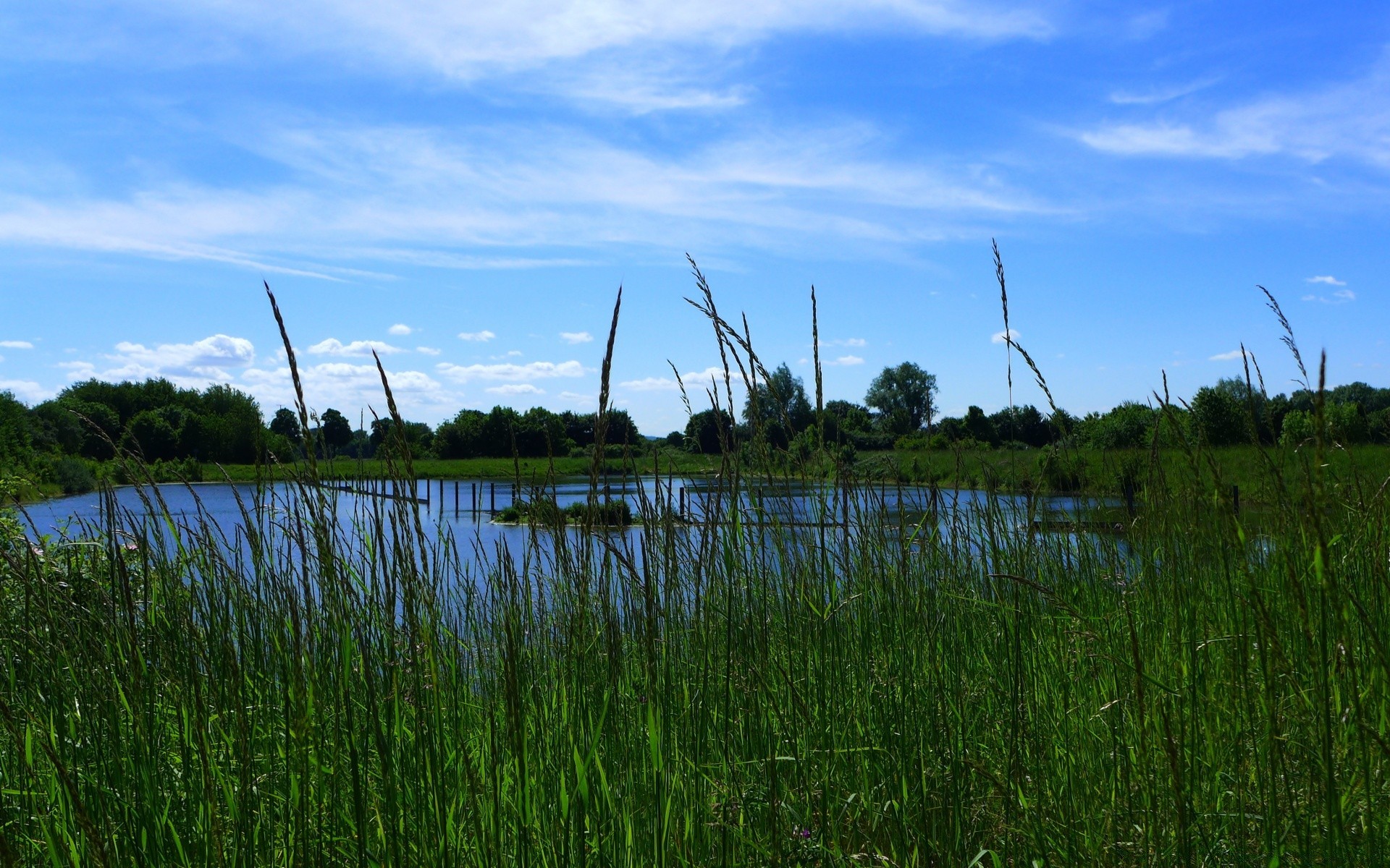 see wasser landschaft natur gras himmel sommer im freien reflexion wind marsch sonne feld