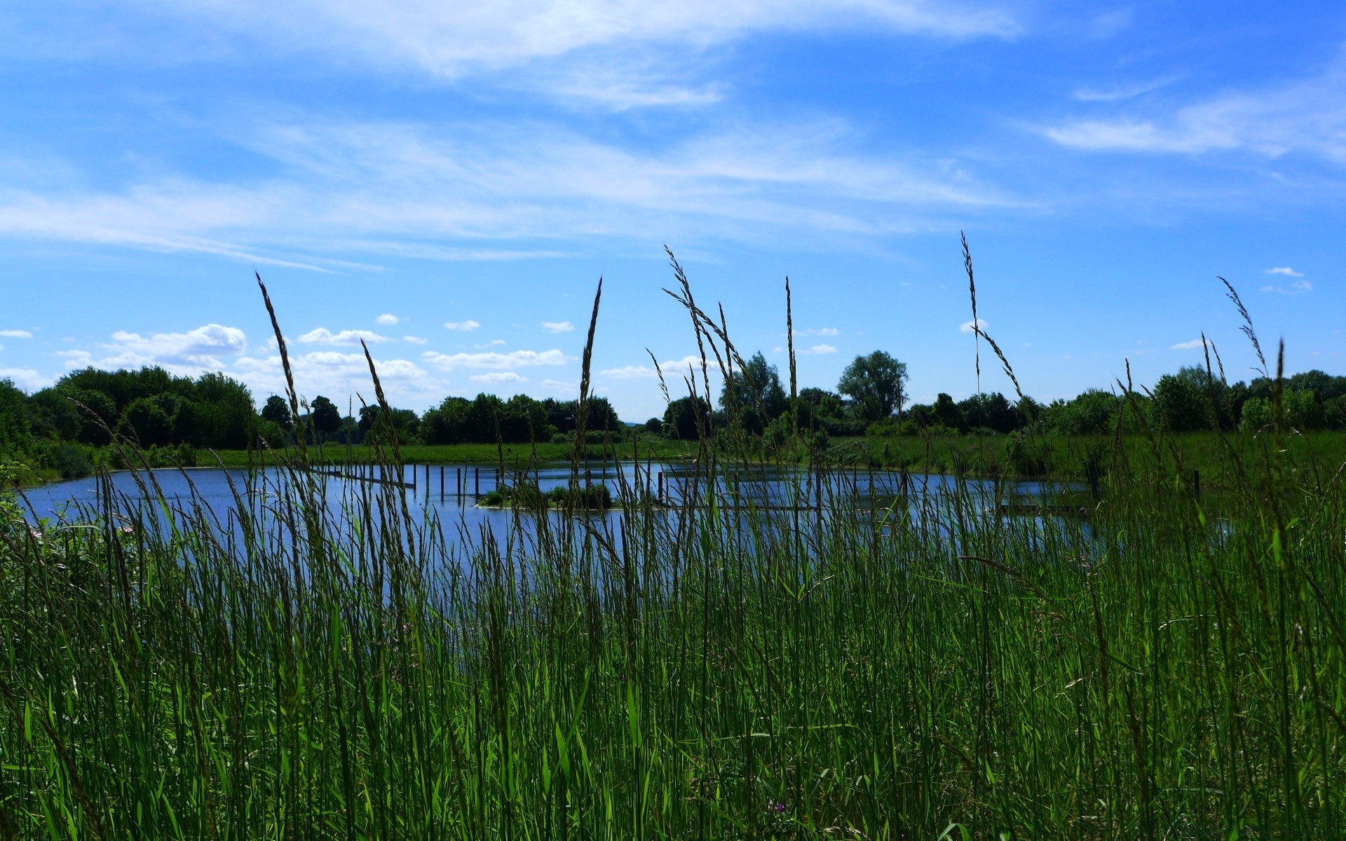 озера воды пейзаж природа трава небо лето на открытом воздухе отражение ветер марш солнце поле