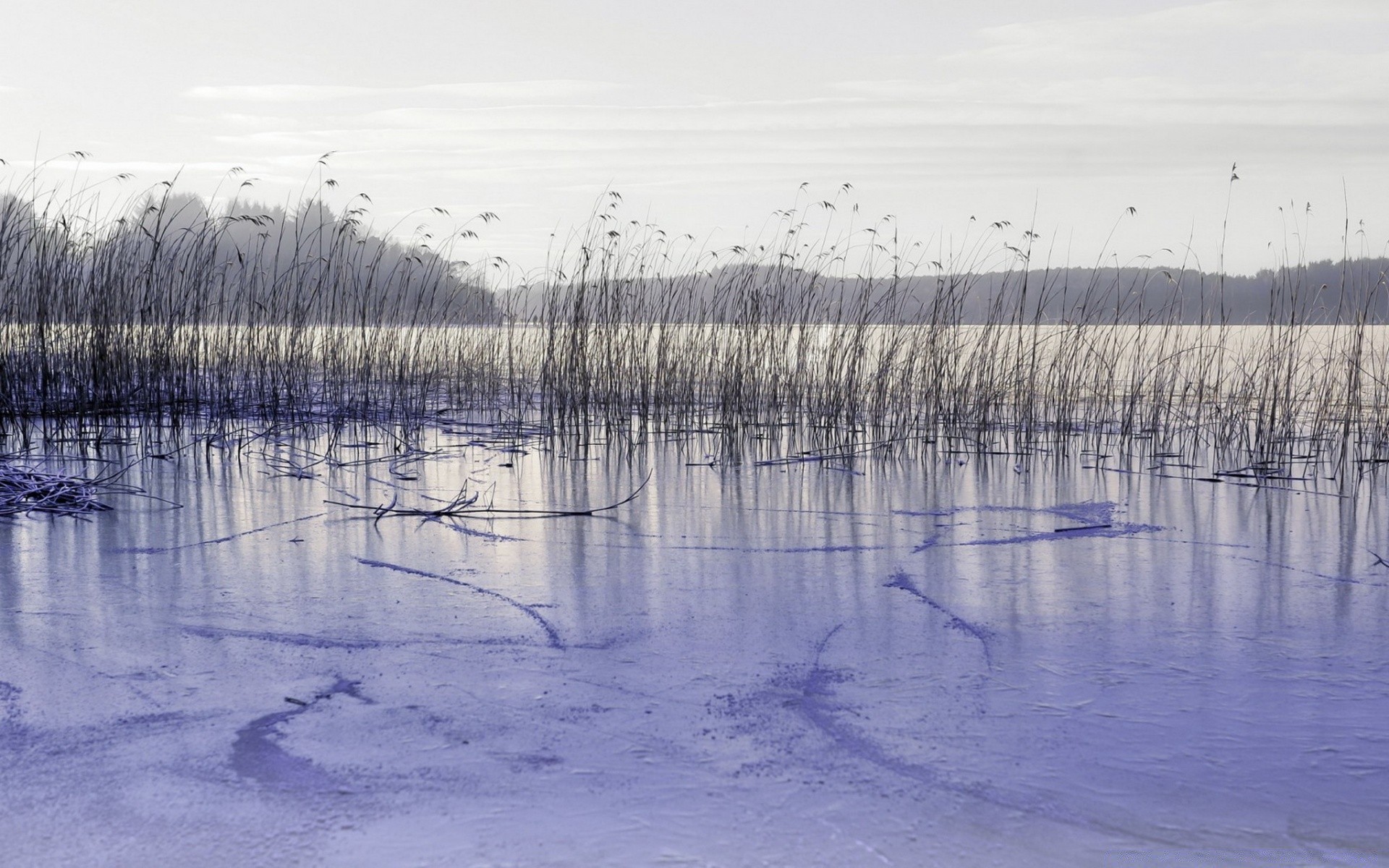 see landschaft reflexion wasser winter schnee dämmerung natur fluss kälte gefroren holz holz eis frost wetter himmel landschaftlich im freien