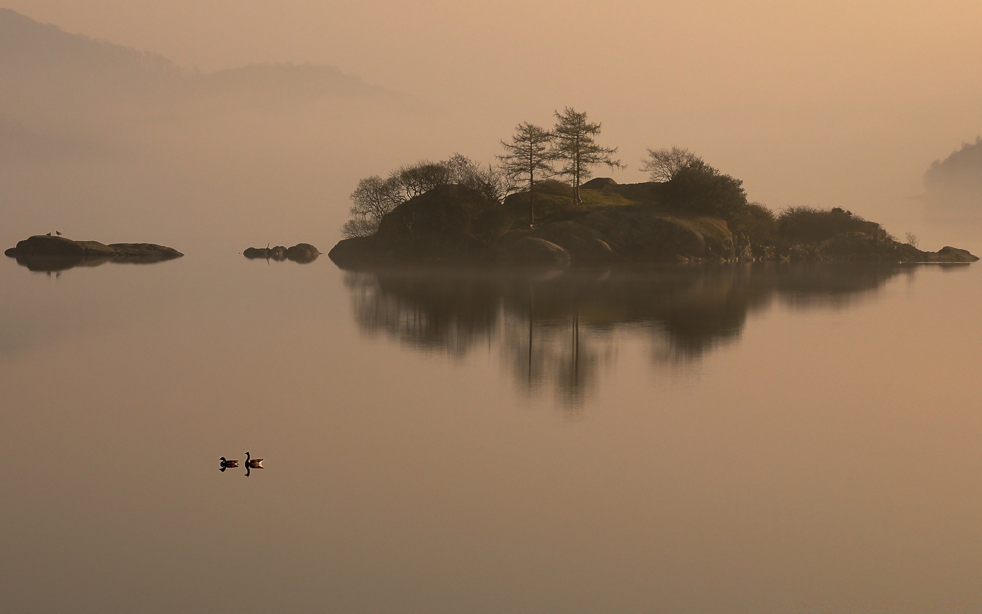 lago alba nebbia tramonto acqua nebbia paesaggio riflessione illuminato albero sera sagoma fiume cielo uccello spiaggia sole crepuscolo tempo