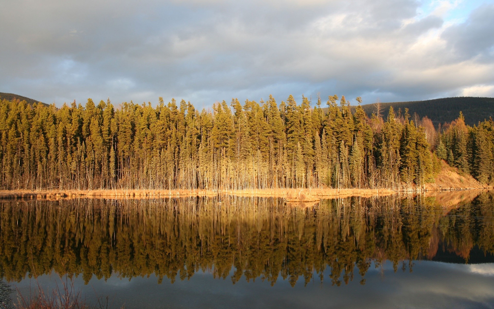 lake landscape nature wood fall tree dawn water outdoors reflection snow winter scenic sky fair weather river sunset