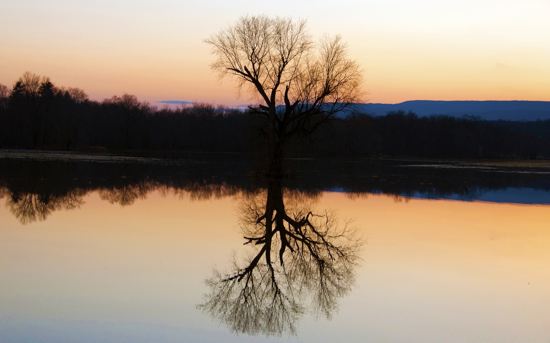 see dämmerung wasser reflexion landschaft sonnenuntergang baum abend nebel nebel fluss natur silhouette pleside im freien holz winter dämmerung himmel