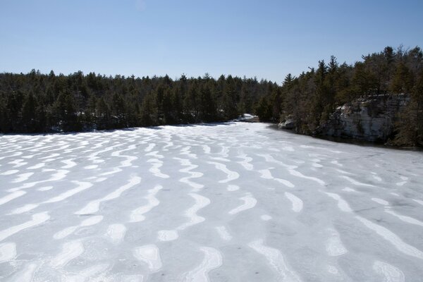 Campo de nieve. Bosque de invierno. Olas en la nieve