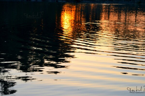 Réflexion des rayons du soleil pendant le coucher du soleil dans le lac